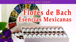 Inicio de Curso Flores de Bach: Esencias Mexicanas. @ Online
